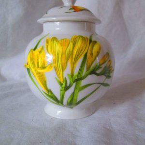 Beautiful Aynsley Miniature Ginger Jar Chelsea Daffodils Fine Bone China England