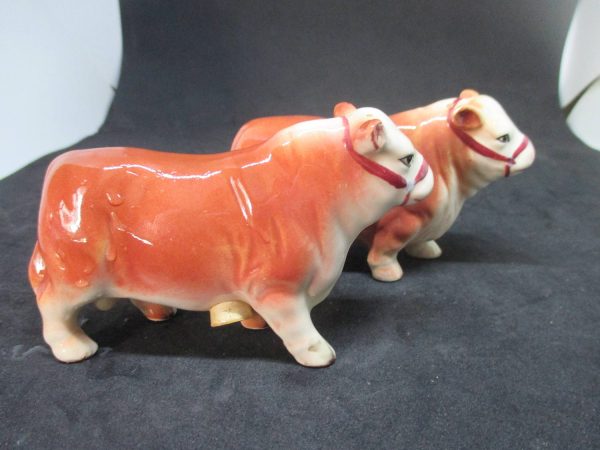 Cows Bulls Salt & Pepper Shakers decor collectible display tableware dinning kitchen cottage 1950's Japan Ceramic Farmhouse decor Darling