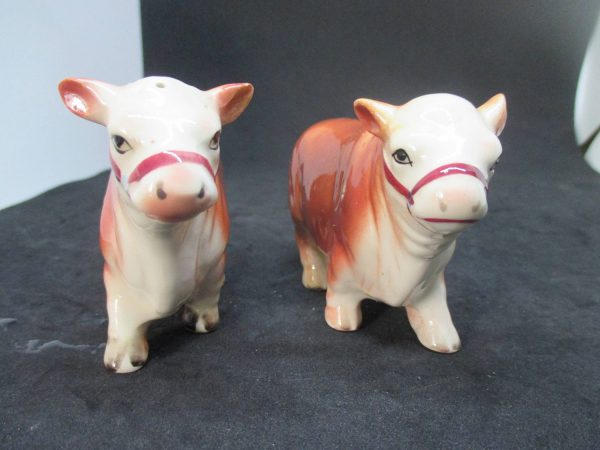 Cows Bulls Salt & Pepper Shakers decor collectible display tableware dinning kitchen cottage 1950's Japan Ceramic Farmhouse decor Darling