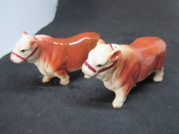 Cows Bulls Salt & Pepper Shakers decor collectible display tableware dinning kitchen cottage 1950's Japan Ceramic Farmhouse decor Darling