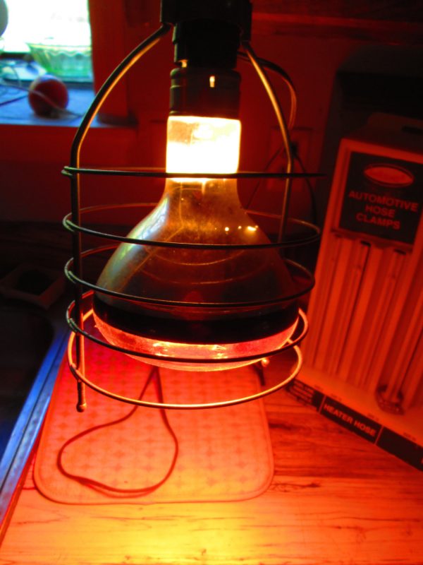 Vintage Sun Lamp GE brand Original Box Working Adjustable Sun Lamp Mid Century
