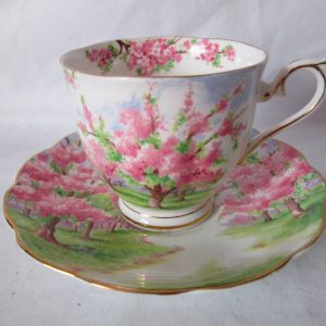 Vintage Tea cup and saucer Royal Albert Fine bone china pink floral trees Beautiful scene Blossom time