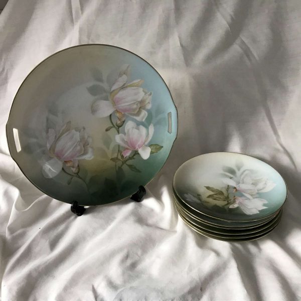 Antique RS Germany Hand painted Cake plate and Serving Plate set 7 pieces Stunning floral pattern farmhouse collectible display snack set