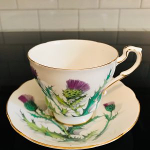 Paragon Tea Cup and Saucer England Purple Thistle green leaves bridal shower Collectible farmhouse Display Cottage serving coffee