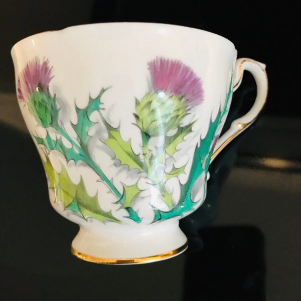 Paragon Tea Cup and Saucer England Purple Thistle green leaves bridal shower Collectible farmhouse Display Cottage serving coffee