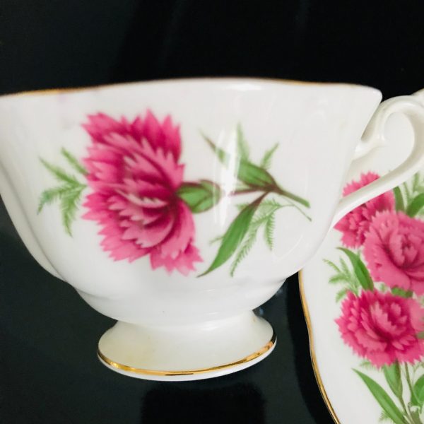Royal Albert tea cup and saucer England Fine bone china Dark Pink Carnations farmhouse collectible display coffee serving