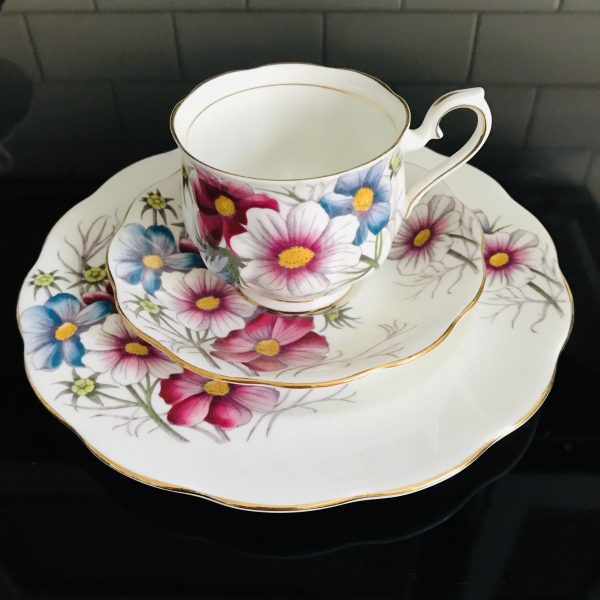 Royal Albert tea cup and saucer TRIO with snack luncheon plate Fine bone china Cosmos farmhouse collectible display cottage