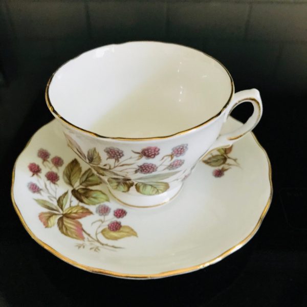Royal Vale Tea cup and saucer England Fine bone china Blackberries gold trim farmhouse collectible display cottage shabby chic