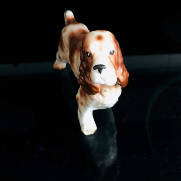Springer Spaniel Dog Figurine gloss finish fine bone china Japan 9" across collectible display farmhouse cottage bedroom