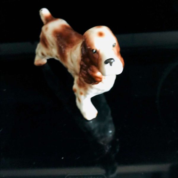 Springer Spaniel Dog Figurine gloss finish fine bone china Japan 9" across collectible display farmhouse cottage bedroom