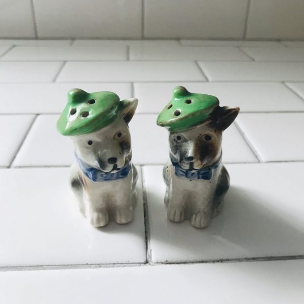 Vintage Salt & Pepper Shakers Dogs wearing Green Tams great detail farmhouse cabin collectible display retro kitchen whimsical Unique