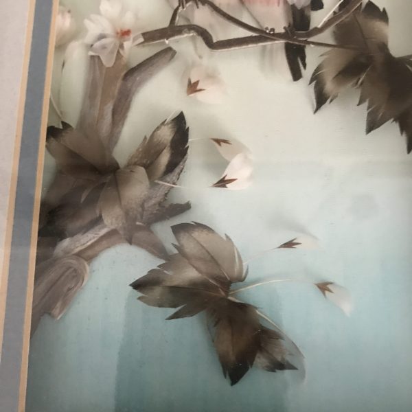 Vintage All Feather Birds on Branches artwork Mid Century gold frame under glass farmhouse collectible bed and breakfast