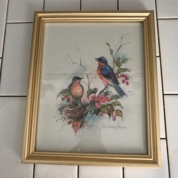 Vintage Paul Whitney Hunter colorful bird artwork gold frame under glass farmhouse collectible bed and breakfast