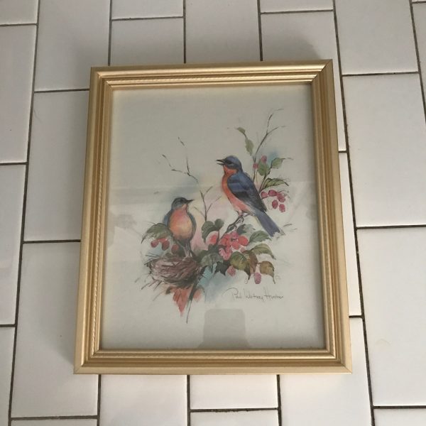 Vintage Paul Whitney Hunter colorful bird artwork gold frame under glass farmhouse collectible bed and breakfast