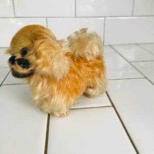 Steiff Vintage Pekinese Plush Animal 1960's Mini Mohair Peky 4" with no tags collectible display farmhouse child's room