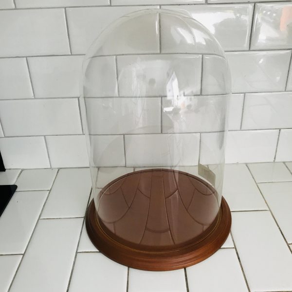 Vintage Large glass dome with wooden base 13" Tall Glass Display Cloche Bell Dome Wood Base for Figurine Clock 8" across