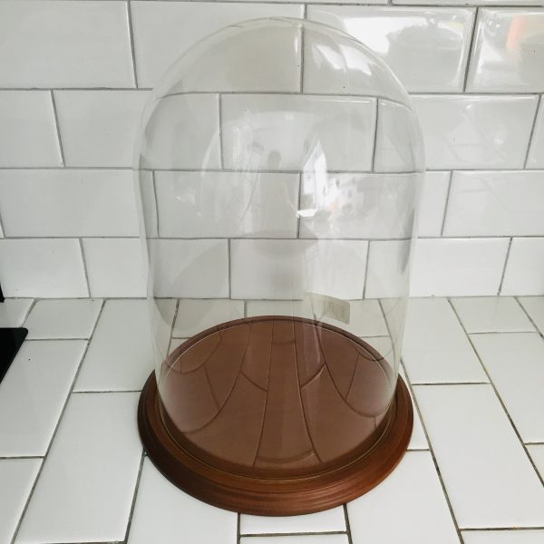 Vintage Large glass dome with wooden base 13" Tall Glass Display Cloche Bell Dome Wood Base for Figurine Clock 8" across